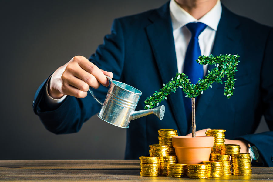 Inversiones seguras vs arriesgadas: cuál elegir